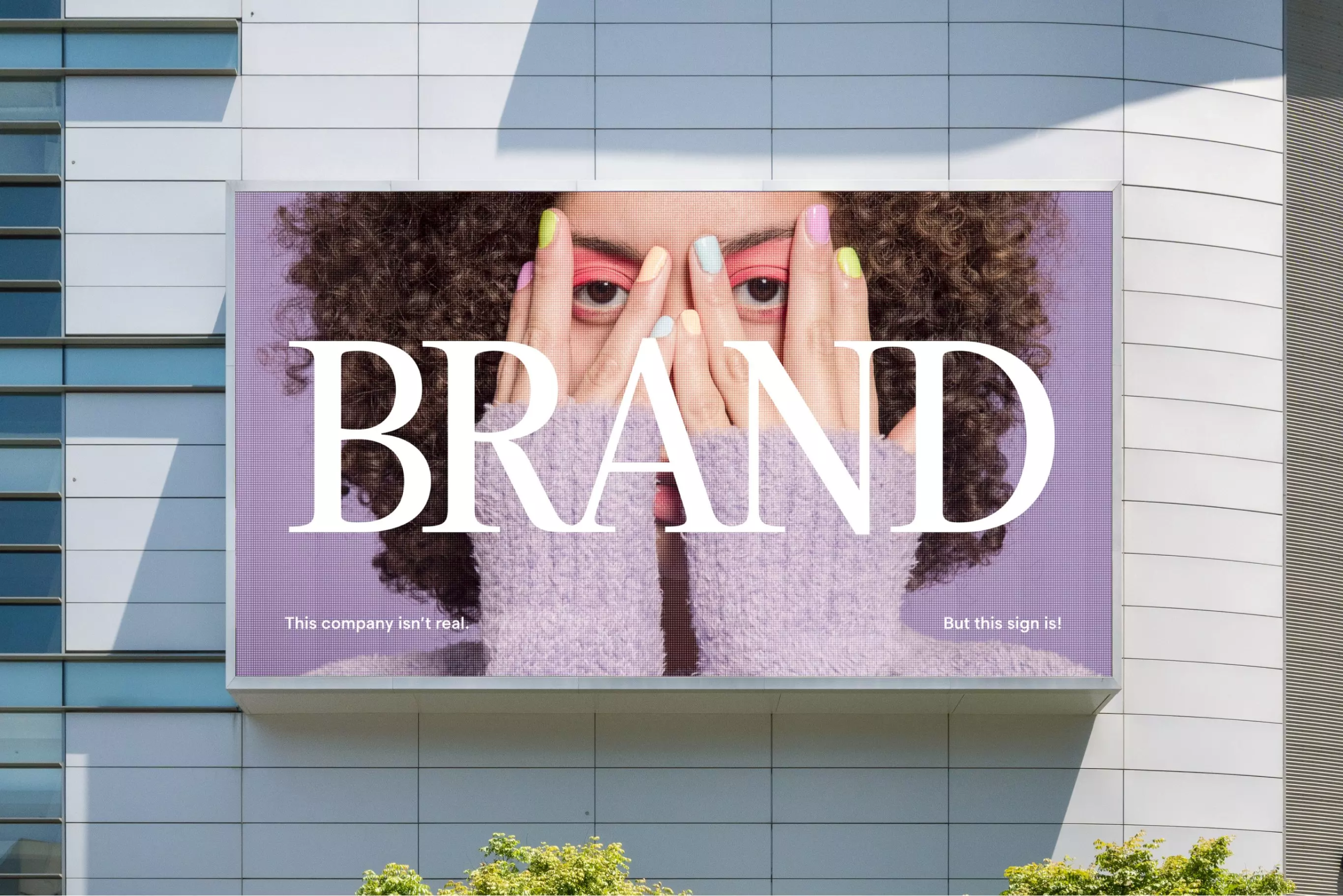 From Organic Growth to Paid Strategy: A Guide to Digital Advertising for Small Brands