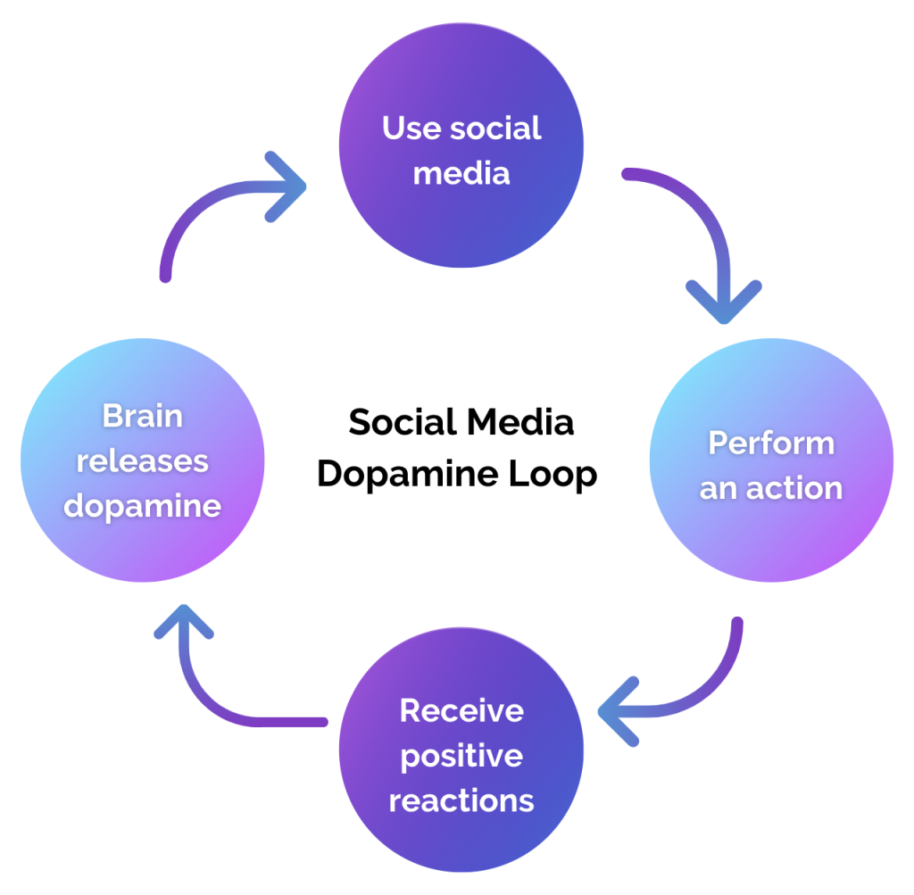 Dopamine reward cycle in social media usage